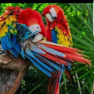 Meet your Posher, Daniela